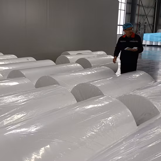 PP Non Woven Fabric Manufacturing Process/Recyclable PP Non Woven Fabric in China/Nonwoven Fabric in Roll Non Woven Factory